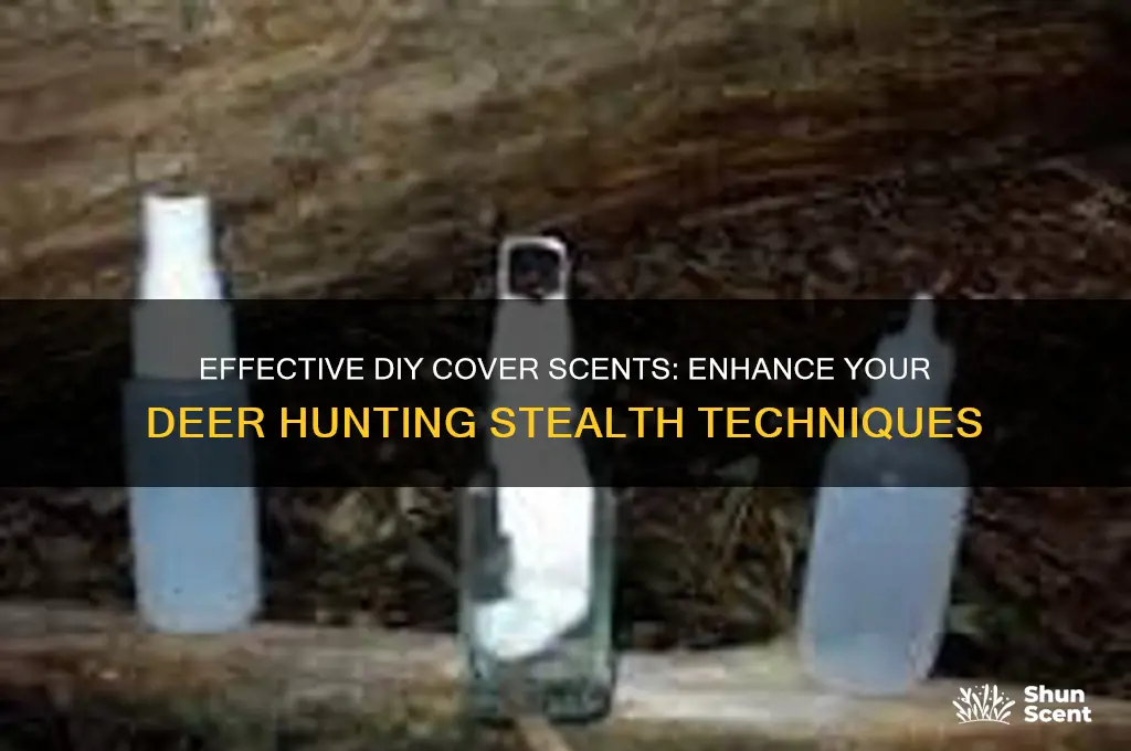 how to make a cover scent for deer hunting
