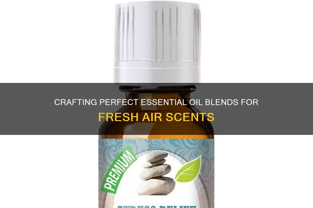 how to make a essential scent for air weck