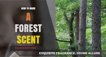 Crafting Nature's Essence: A Guide to Creating Authentic Forest Scents