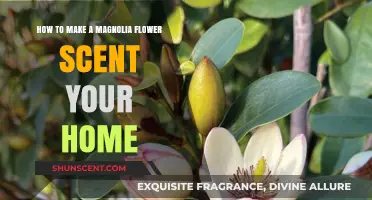Infuse Your Home with Magnolia: A Guide to Floral Fragrance