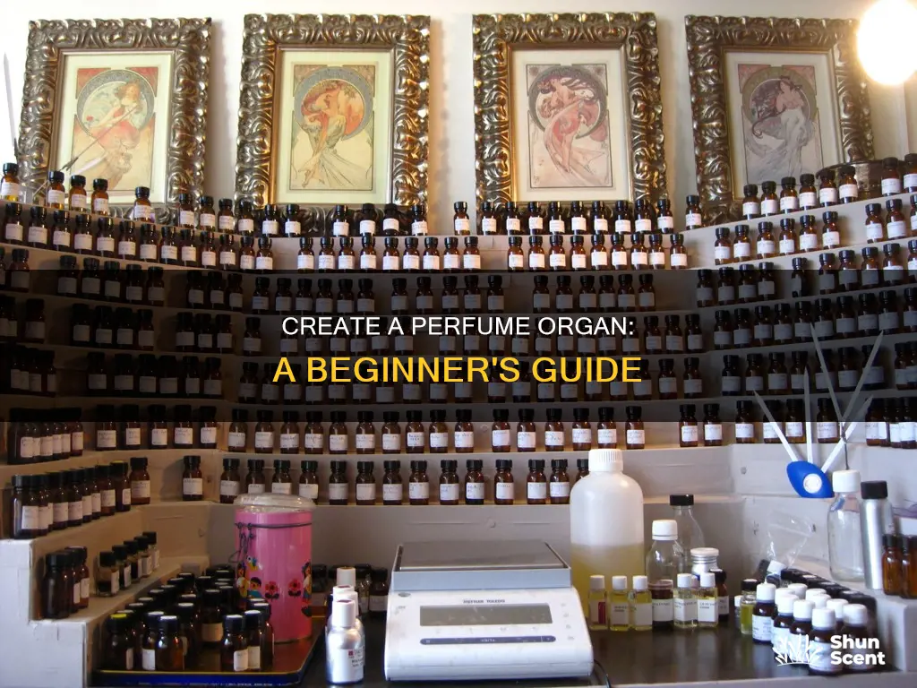 how to make a perfume organ