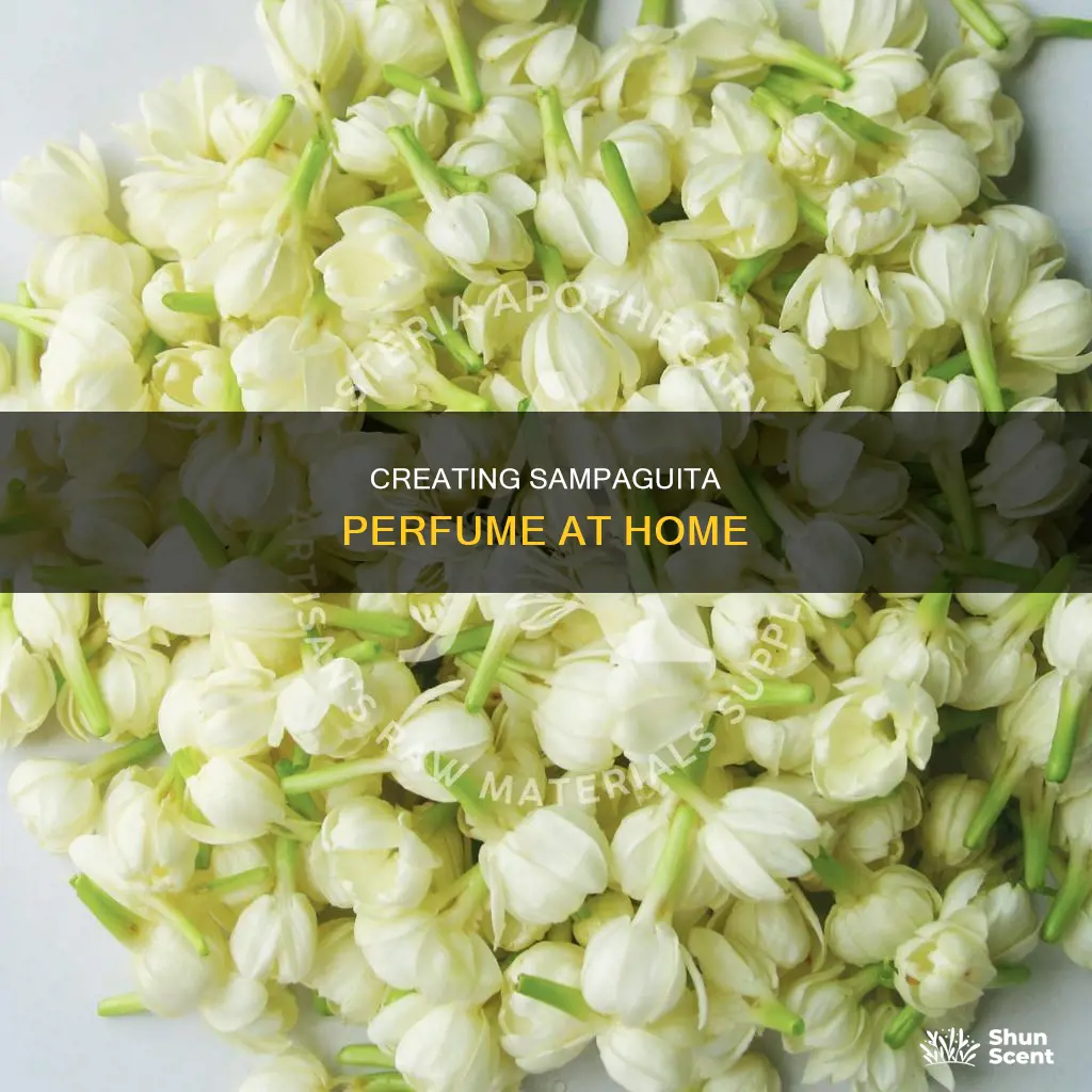 how to make a perfume out of sampaguita