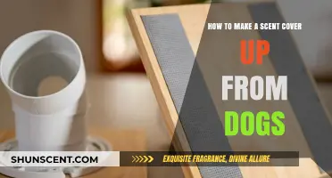 Effective DIY Scent Cover-Up Techniques to Outsmart Your Curious Dogs