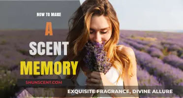 Crafting Scent Memories: Techniques to Capture and Preserve Aromatic Moments