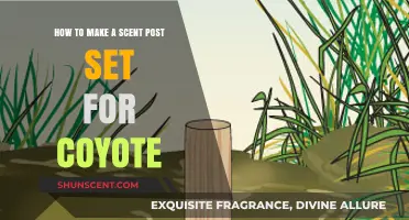 Crafting Effective Scent Posts to Attract Coyotes: A Step-by-Step Guide