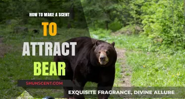 Crafting Bear-Attracting Scents: A Step-by-Step Guide for Outdoor Enthusiasts