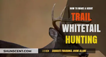 Mastering Whitetail Hunting: Crafting Effective Scent Trails for Success