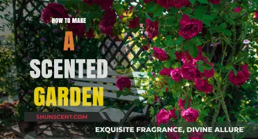 Create a Fragrant Oasis: Tips for Designing a Scented Garden