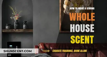 Transform Your Home with Long-Lasting, Invigorating Whole House Scents