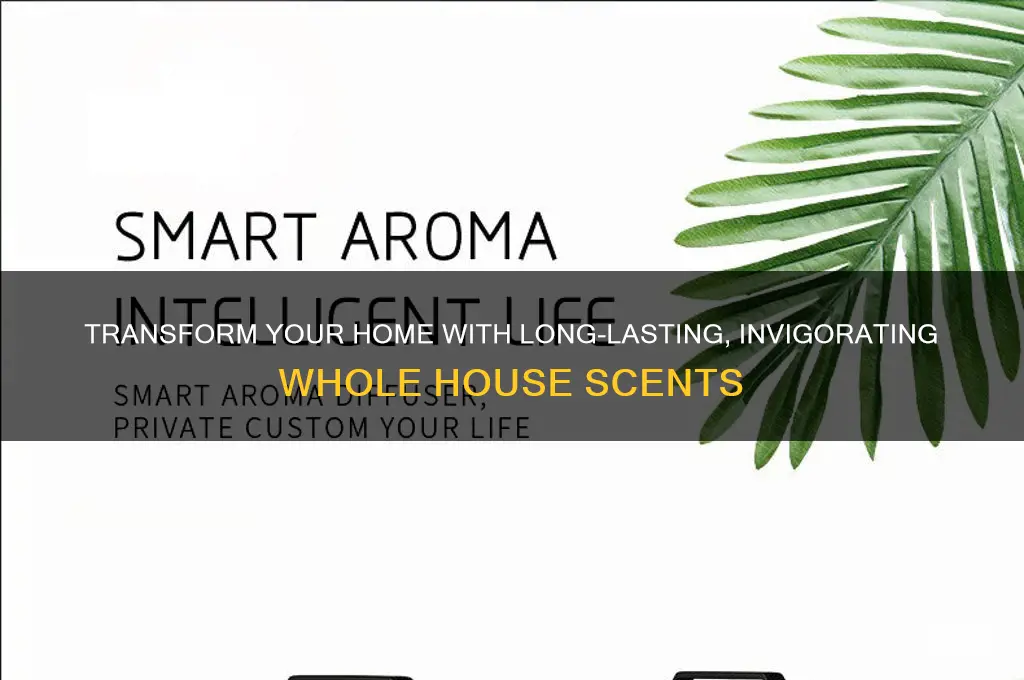 how to make a strong whole house scent