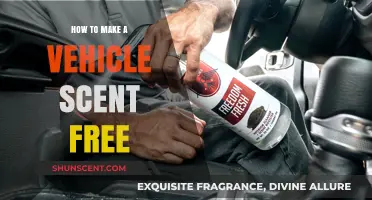 Eliminate Vehicle Odors: Proven Tips for a Scent-Free Car Interior