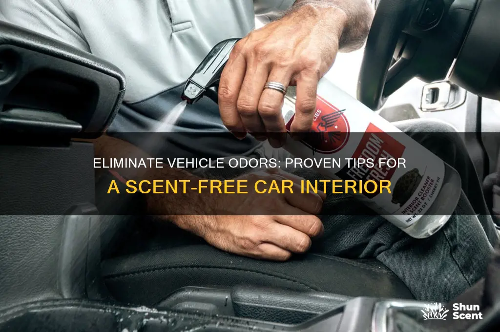 how to make a vehicle scent free