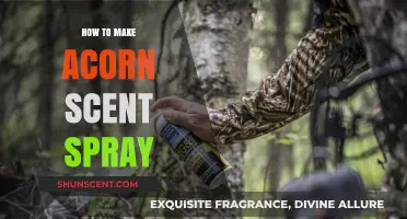 Crafting Cozy Acorn Scent Spray: DIY Autumn Aromatherapy Guide