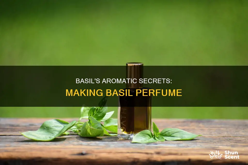 how to make basil perfume
