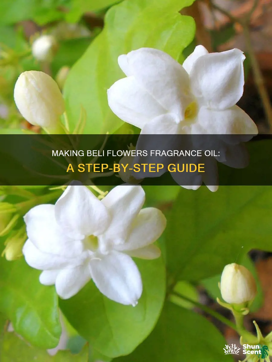 how to make beli flowers fragrance oil