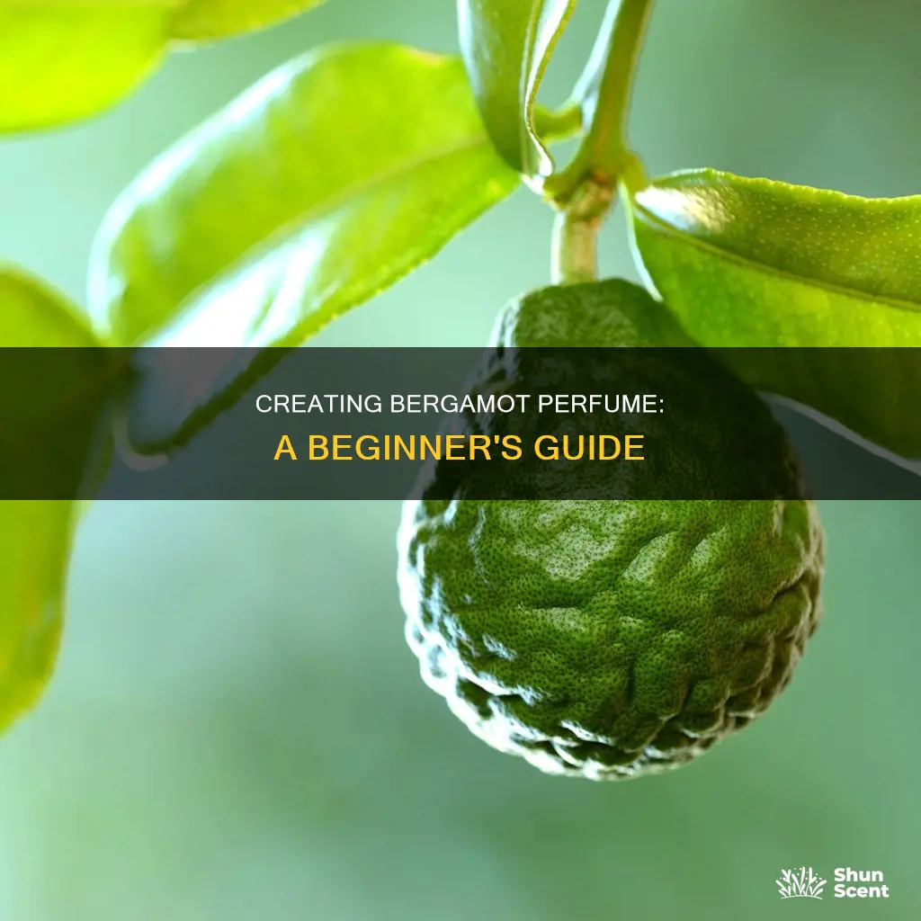 how to make bergamot perfume