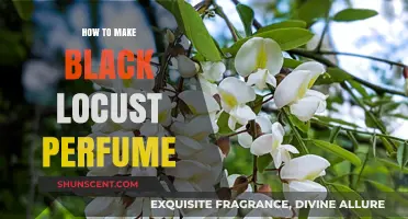 Creating Black Locust Perfume: A Beginner's Guide