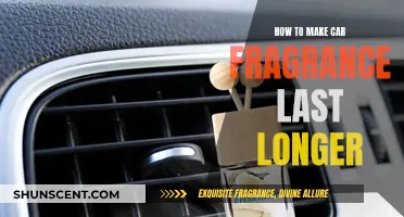 Keep Your Car's Scent Fresh: Tips for Long-Lasting Fragrance