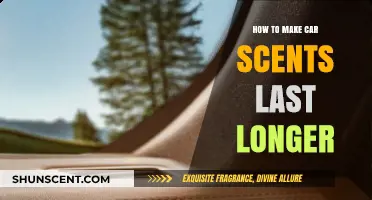 Maximize Your Car's Freshness: Tips to Extend Air Freshener Scents