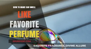Custom Car Scents: Your Guide to a Fragrant Drive