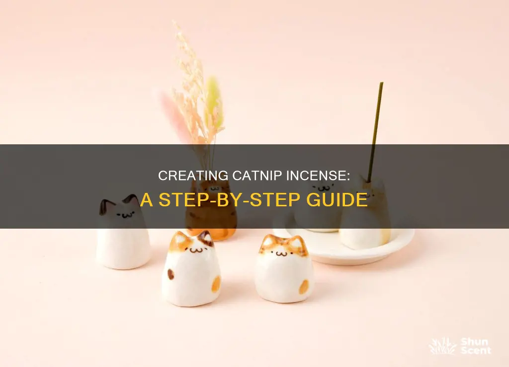 how to make catnip incense