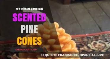 Crafting Festive Scents: DIY Christmas Scented Pine Cones Guide