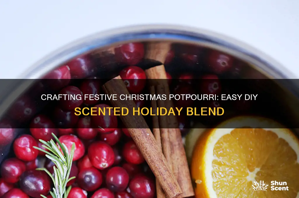 how to make christmas scented potpourri
