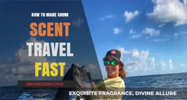 Boost Chum Scent Dispersion: Quick Tips for Faster Travel