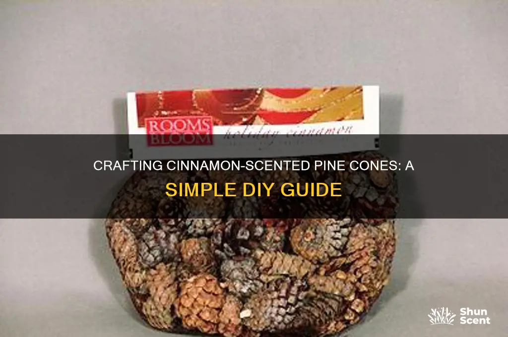 how to make cinamon scented pine cones