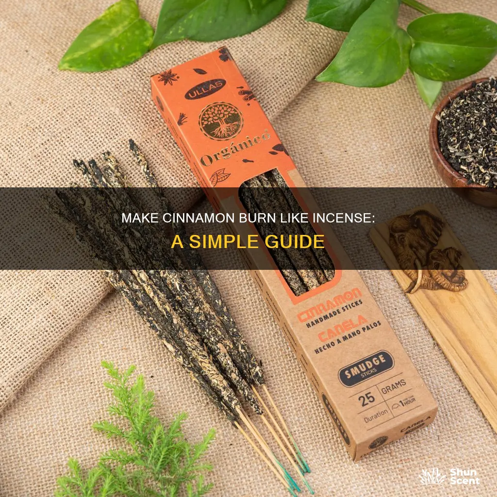 how to make cinnamon burn like incense