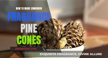 Crafting Natural Scents: Pine Cones with a Cinnamon Twist