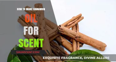 Crafting Cinnamon Oil: A Simple Guide to Homemade Aromatic Bliss