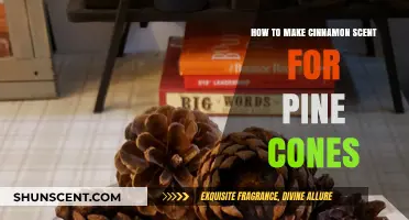 DIY Cinnamon-Scented Pine Cones: Easy Crafting for Cozy Home Aromas