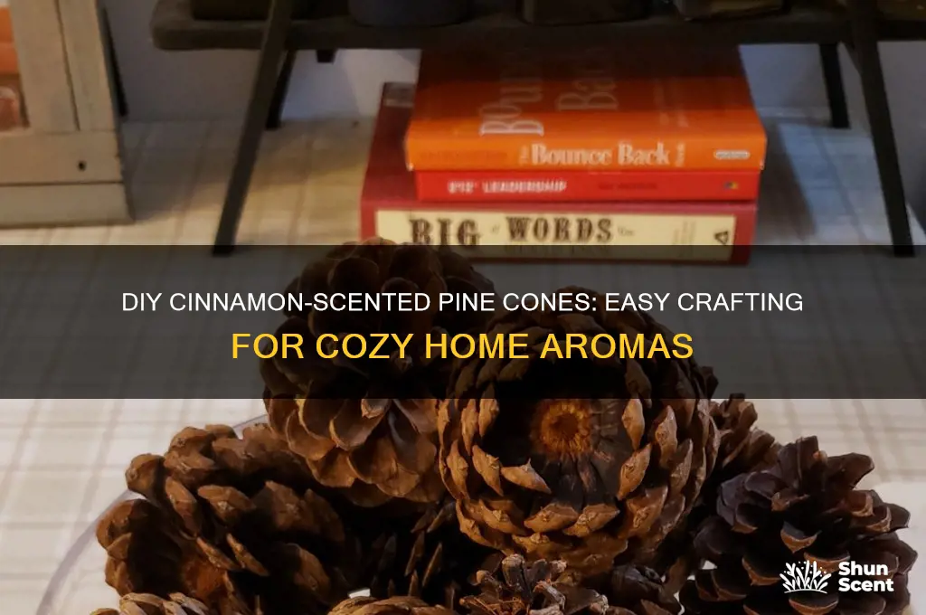 how to make cinnamon scent for pine cones