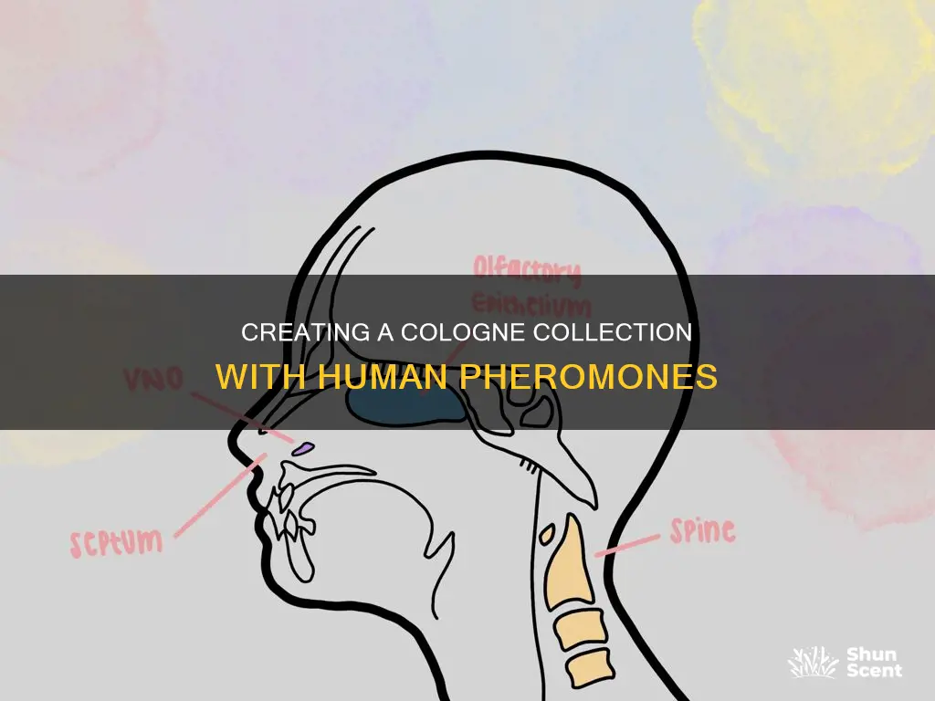 how to make cologne collec5 human phermones