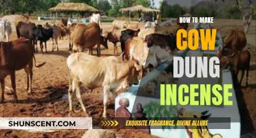 Making Incense Sticks from Cow Dung at Home
