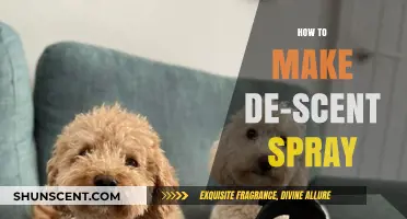 DIY De-Scent Spray: Easy Steps to Freshen Any Space Naturally
