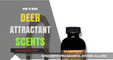 Crafting Effective Deer Attractant Scents: Tips and Techniques for Hunters