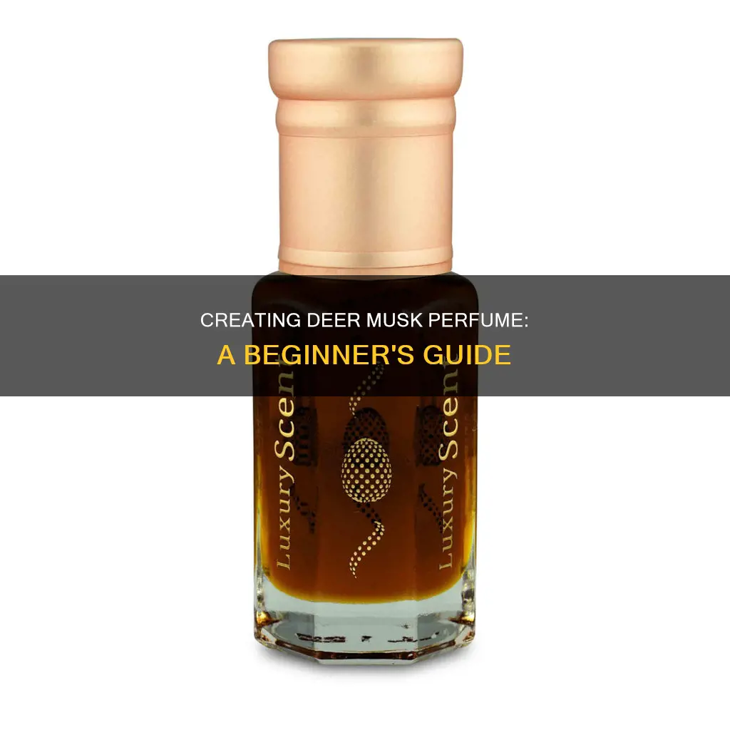 how to make deer musk perfume