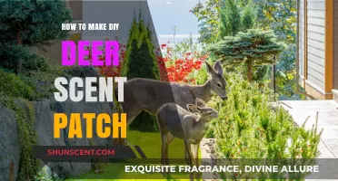 Crafting DIY Deer Scent Patches for Effective Hunting Success