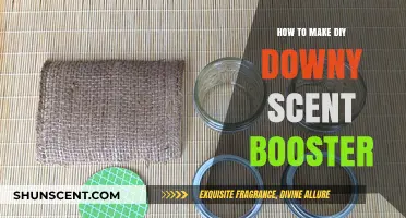 Create Your Own Downy Scent Booster at Home: Easy DIY Guide