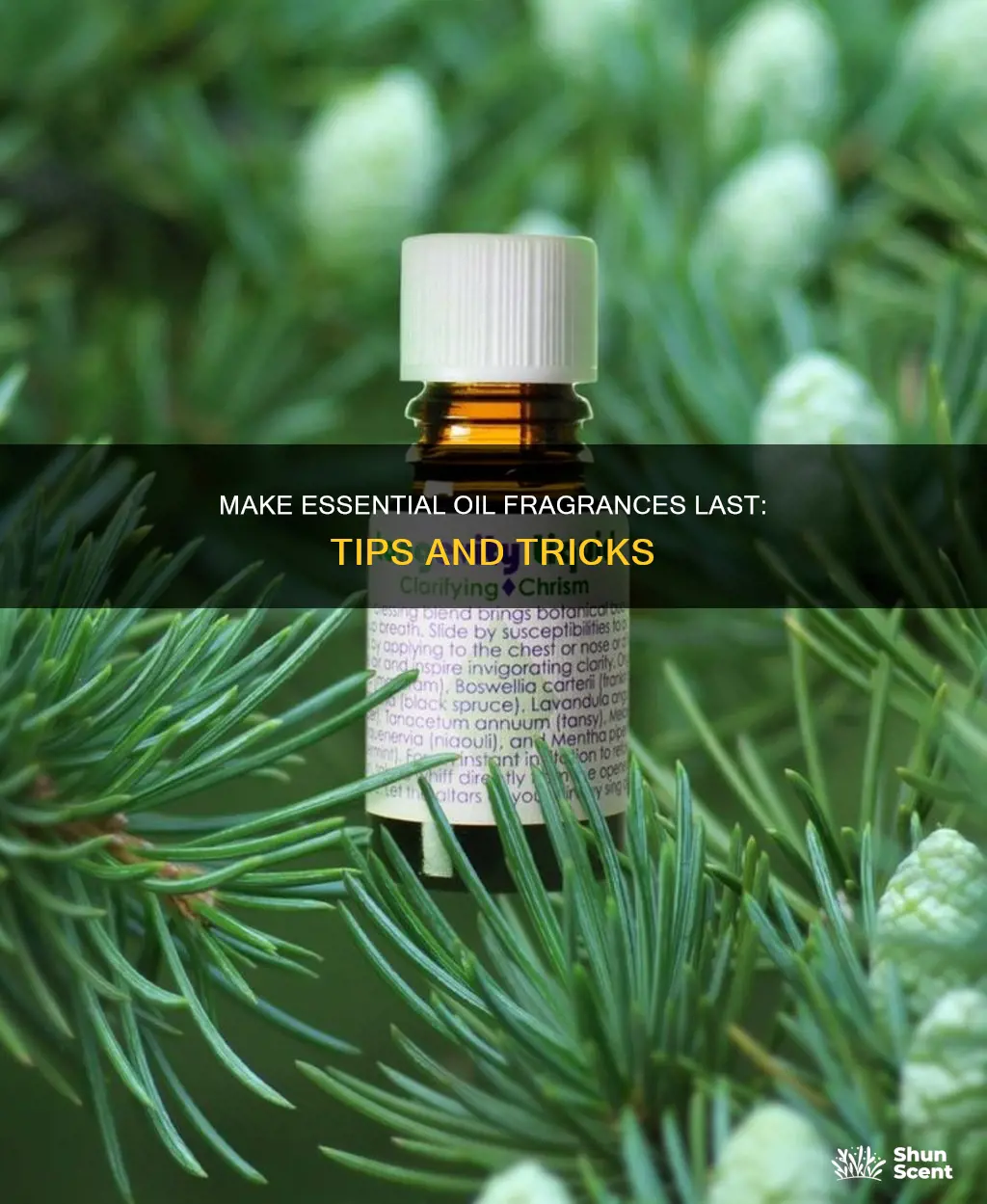 how to make essential oil fragrance last longer