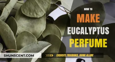 Creating a Natural Eucalyptus Scent
