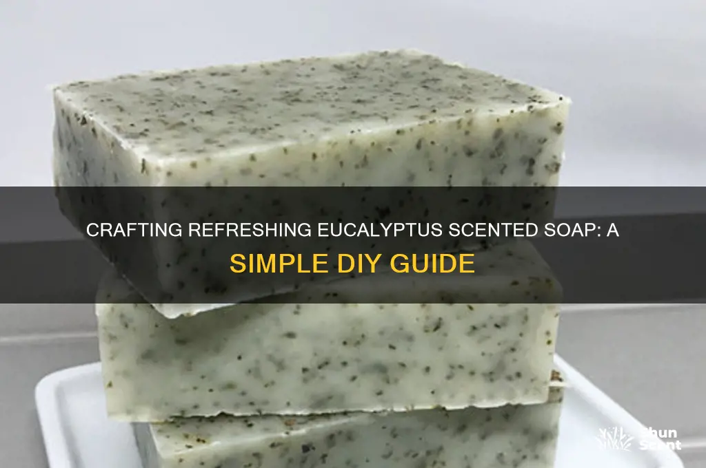 how to make eucalyptus scented soap