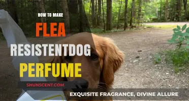 Flea-Free Dog Perfume: A Natural DIY Guide