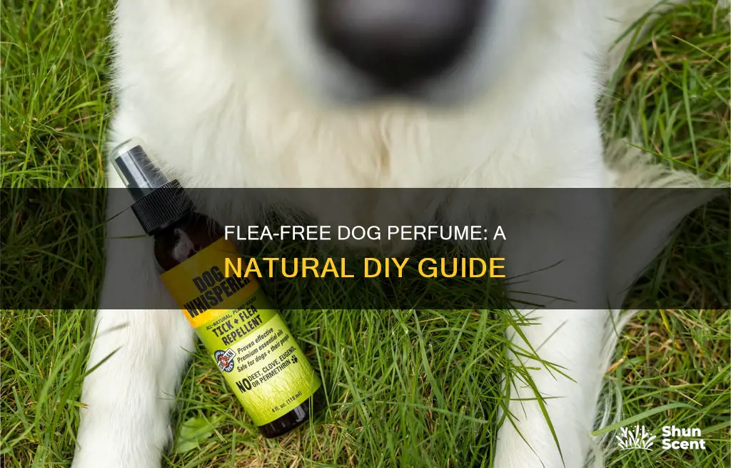 how to make flea resistentdog perfume