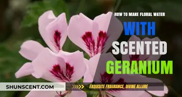 Crafting Fragrant Floral Water with Scented Geranium: A Simple Guide