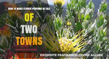Creating Flower Perfume in Tale of Two Towns