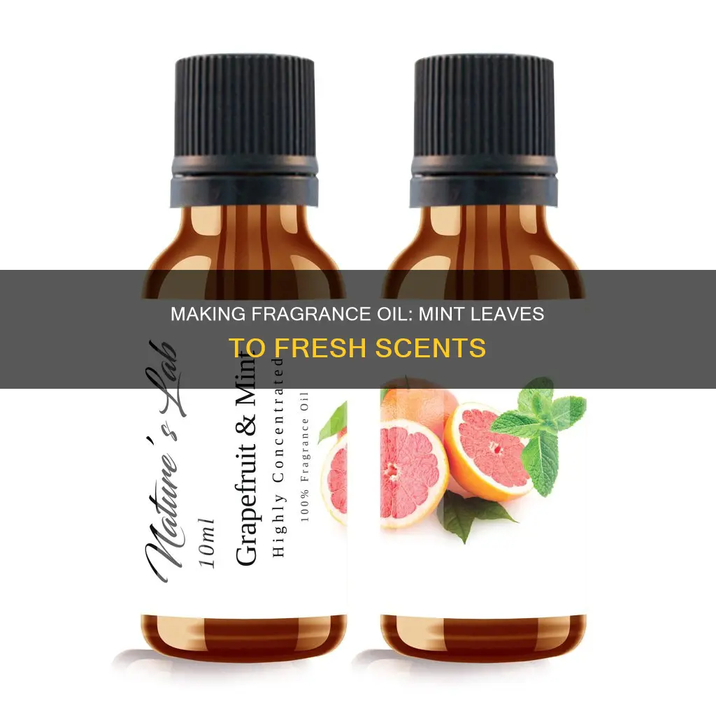 how to make fragrance oil from mint leaves