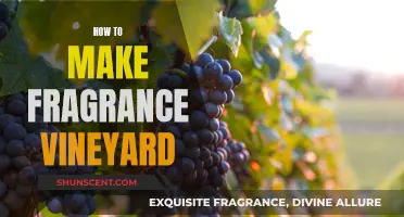 Crafting Your Own Scent: A Guide to Making Fragrance Vineyards